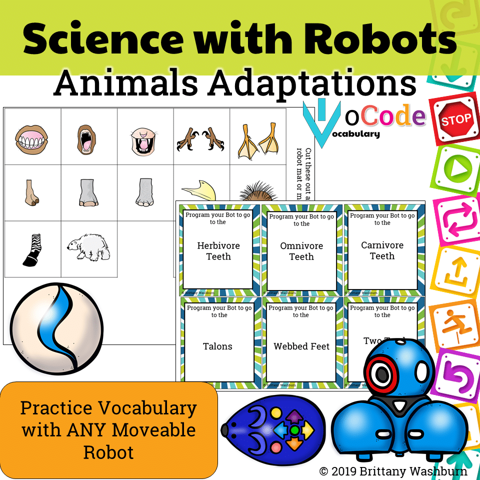 animal typing games for 6th graders